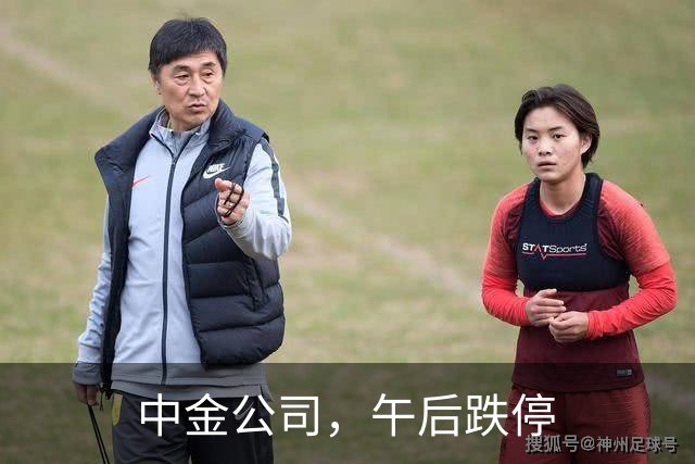 中金公司，午后跌停