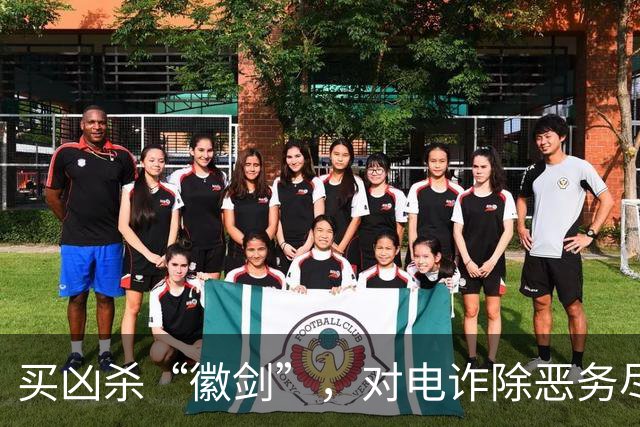 买凶杀“徽剑”，对电诈除恶务尽 | 新京报快评