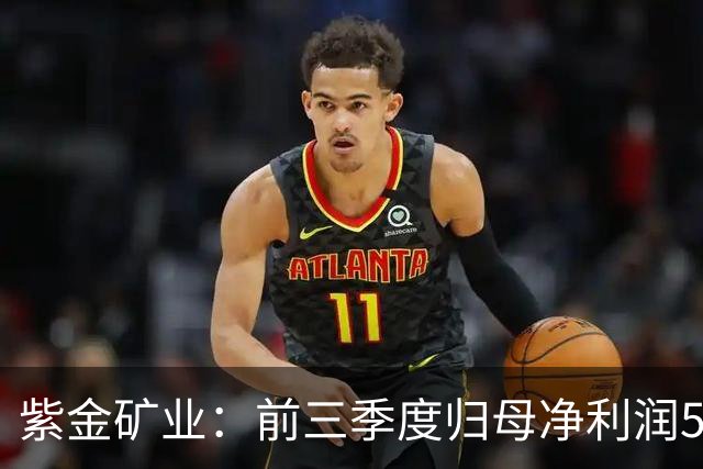 紫金矿业：前三季度归母净利润575.26亿元 同比增长51.93%